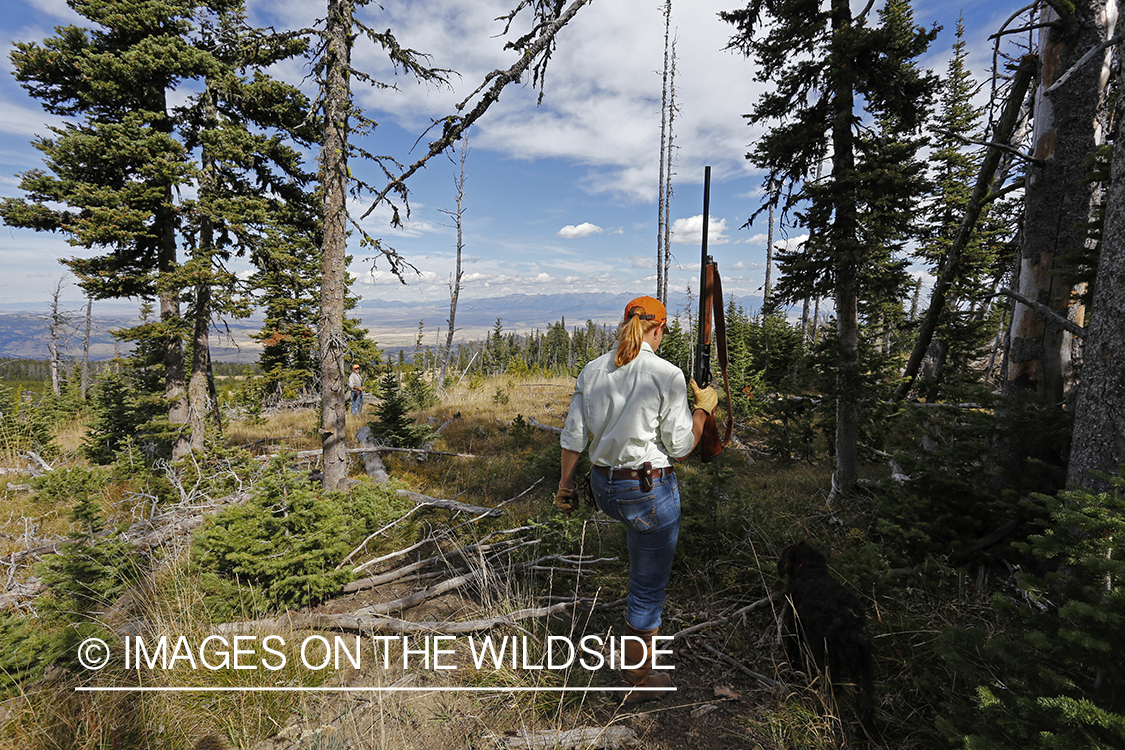 Upland game bird hunters in field hunting Dusky (mountain) grouse.