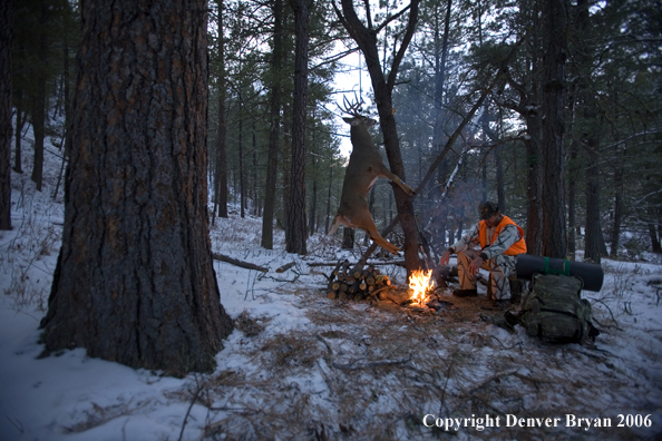Deer hunter with bagged deer in camp in winter.  
