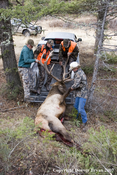 Elk hunters in field