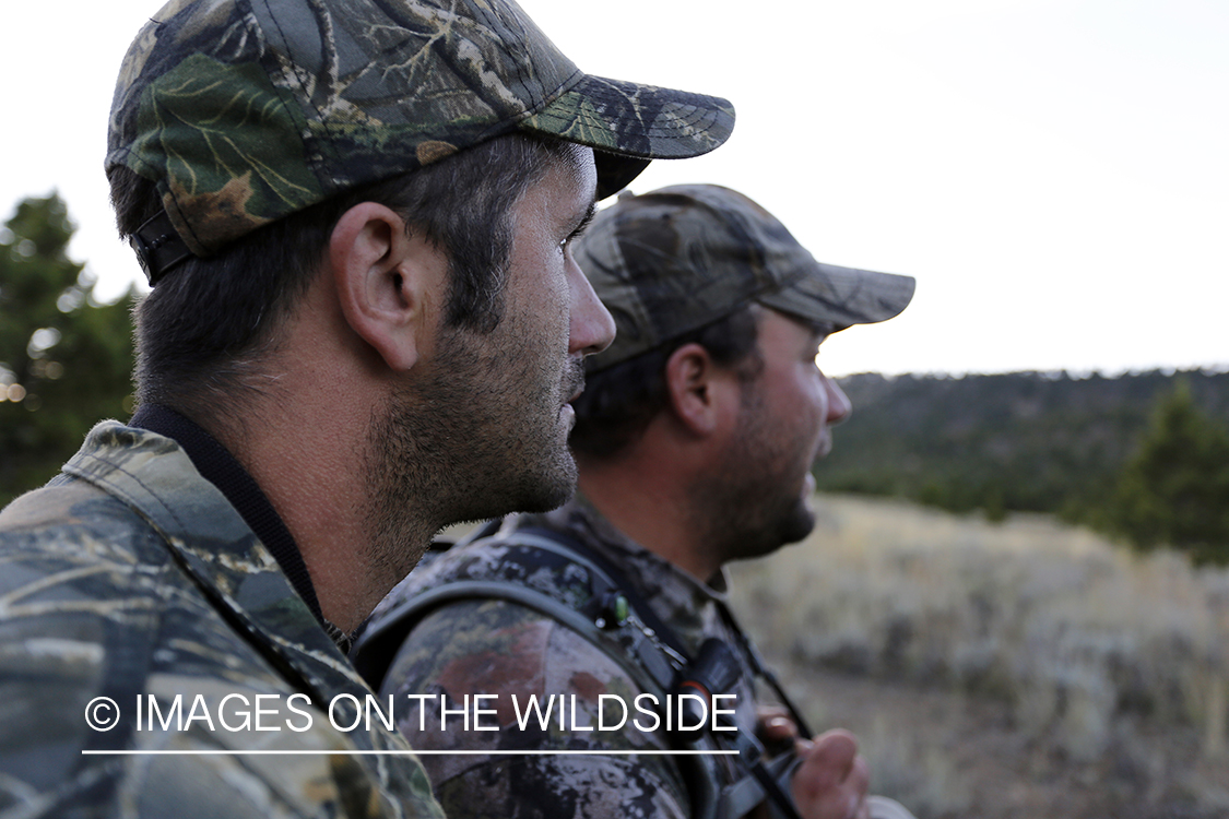 Bowhunters tracking Rocky Mountain Elk.