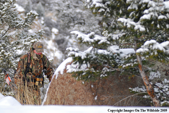 Bowhunter in Field