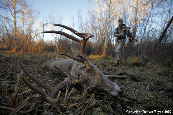 Bowhunter approaching whitetail buck.