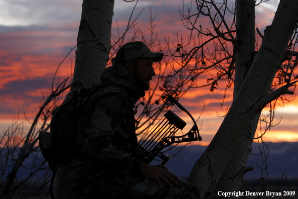 Bowhunter sitting in tree stand.