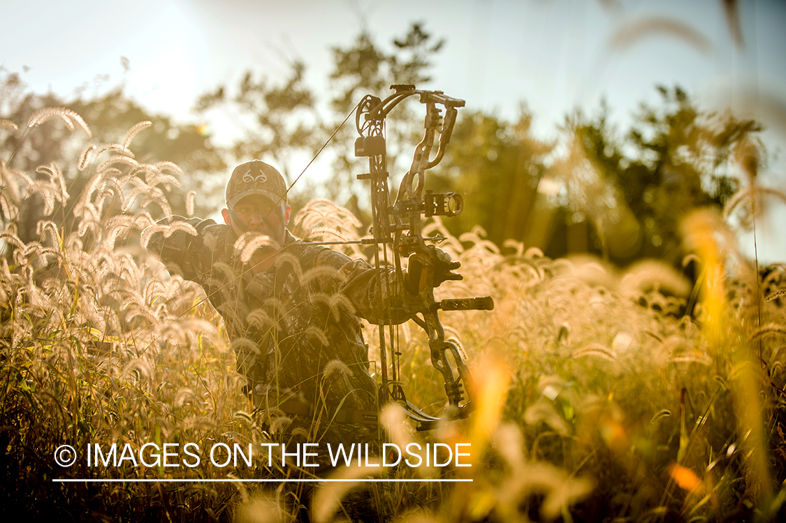 Bow hunter in field aiming at game.