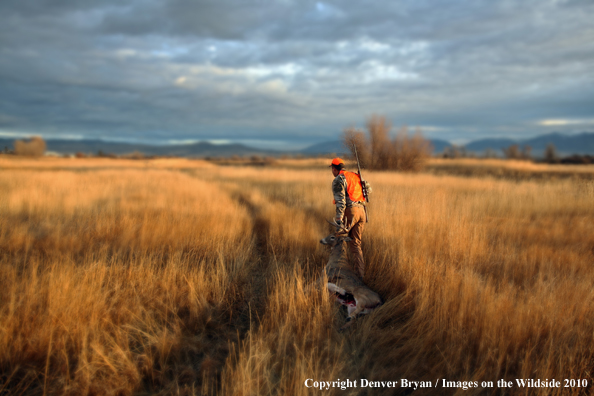 Hunter with Whitetail Deer (Original image # 11024-050.41D)