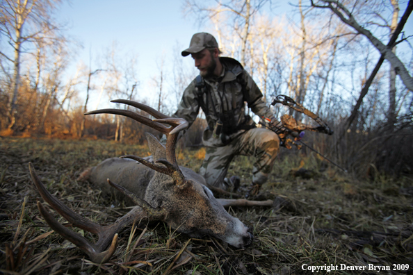 Bowhunter approaching whitetail buck.