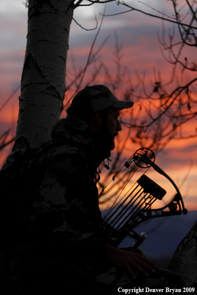 Bowhunter sitting in tree stand.