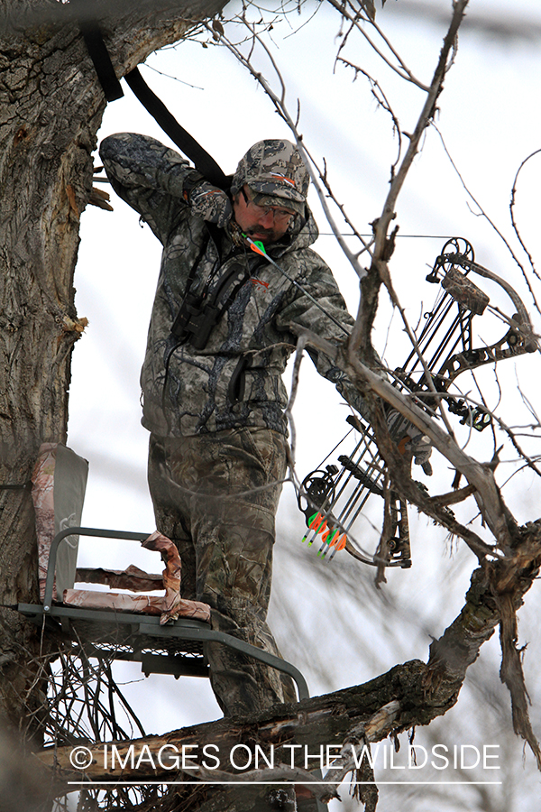 Bowhunter in tree stand taking aim. 