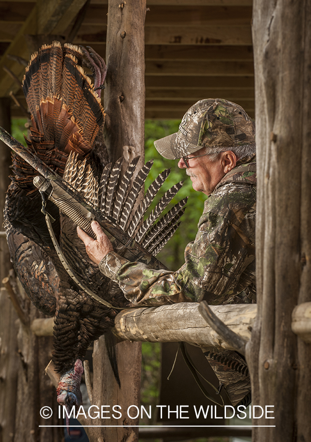 Turkey hunter with bagged turkey.