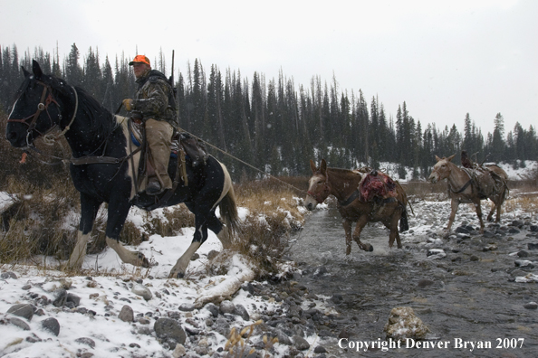 Elk hunt packstring in mountains