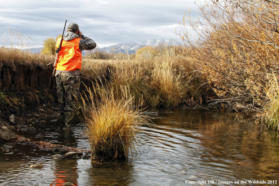 Hunter tracking moose.