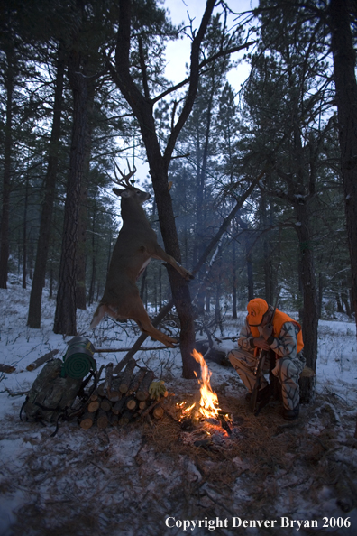 Deer hunter with bagged deer in camp in winter.  