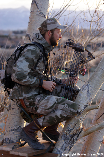 Bowhunter sitting in tree stand.