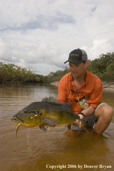 Fisherman holding Peacock Bass
