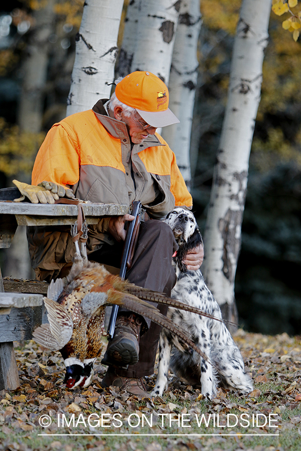 Hunter with English Setter in autumn.