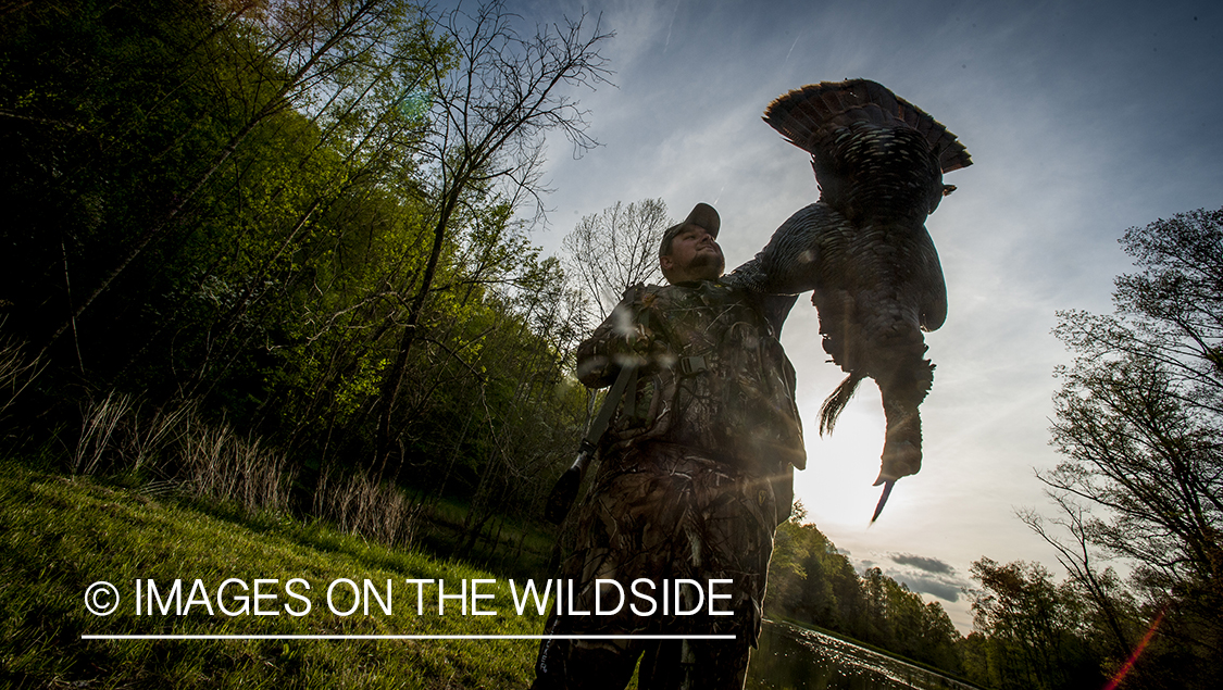 Turkey hunter with bagged turkey in field.