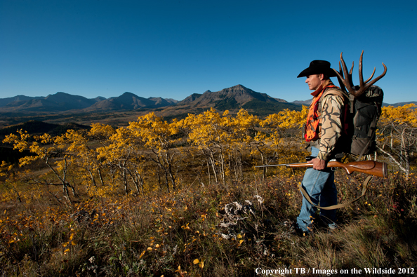Big game hunter packing out mule deer. 