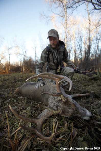 Bowhunter approaching whitetail buck.