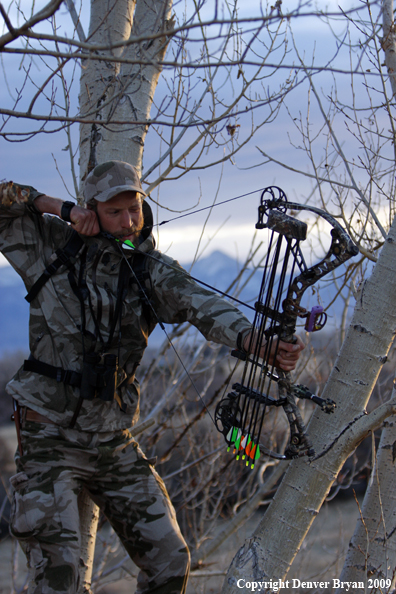 Bowhunter aiming bow from tree stand.