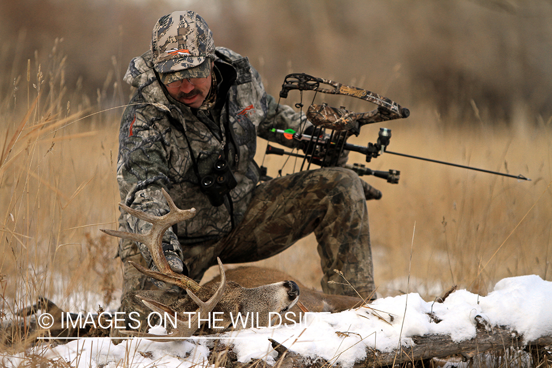 Bowhunter with bagged white-tailed buck.