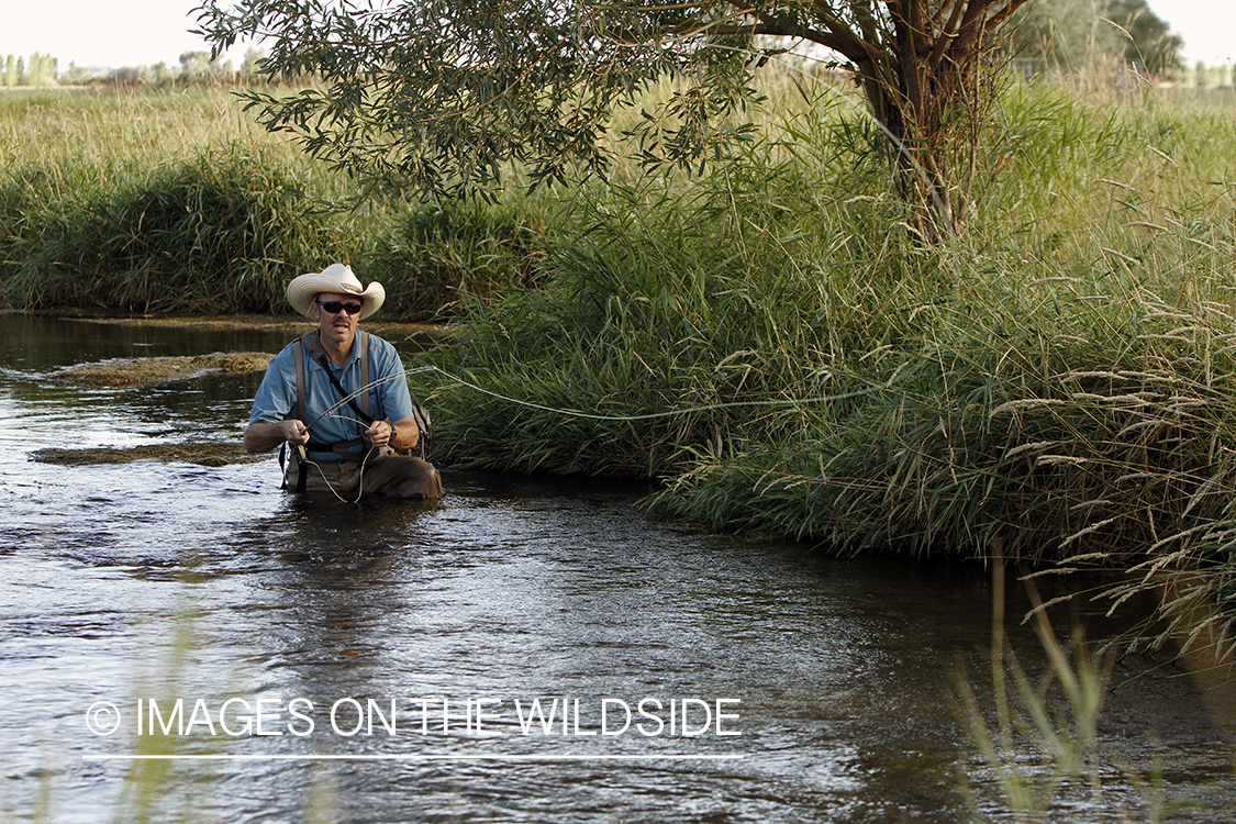 Flyfisherman fishing small stream.