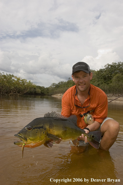 Fisherman holding Peacock Bass