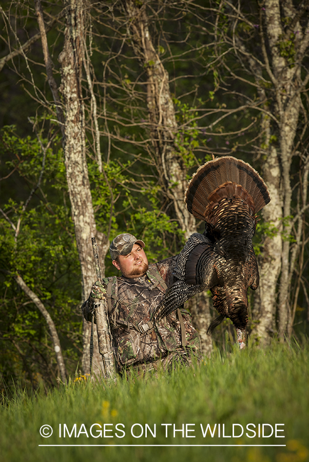 Turkey hunter with bagged turkey in field.