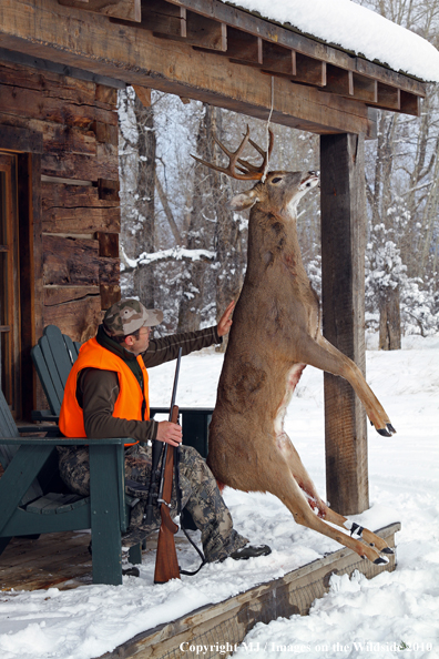 Hunter with bagged buck. 