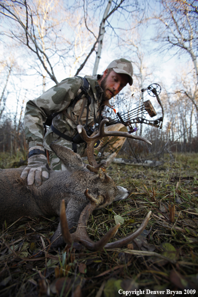 Bowhunter approaching whitetail buck.