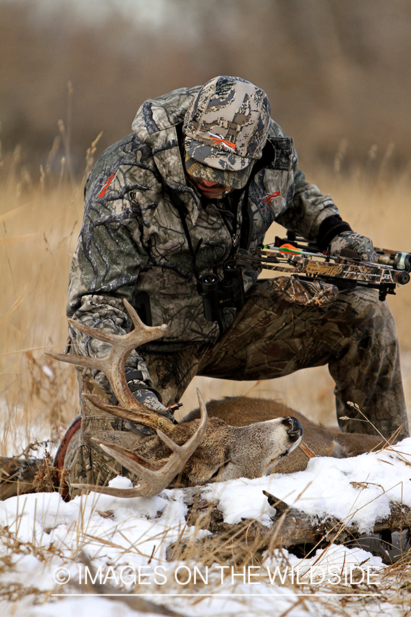 Bowhunter with bagged white-tailed buck.