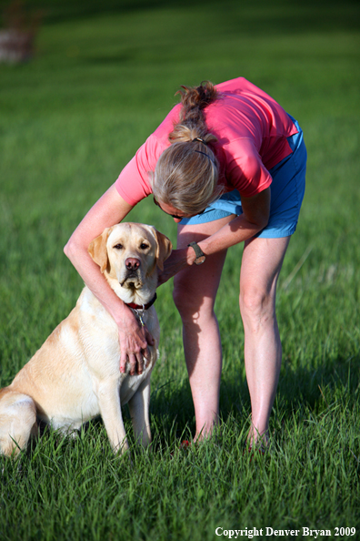 Yellow Labrador Retriever in yard with owner