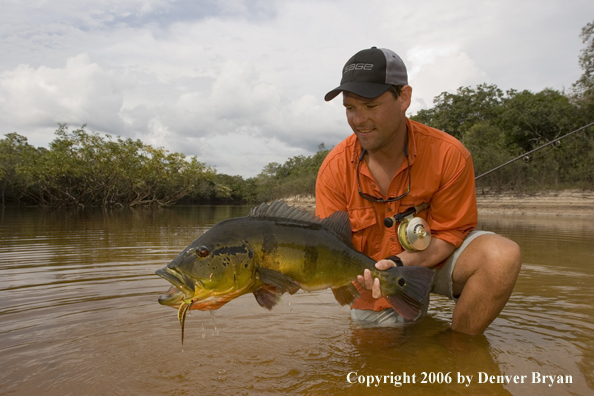 Fisherman holding Peacock Bass