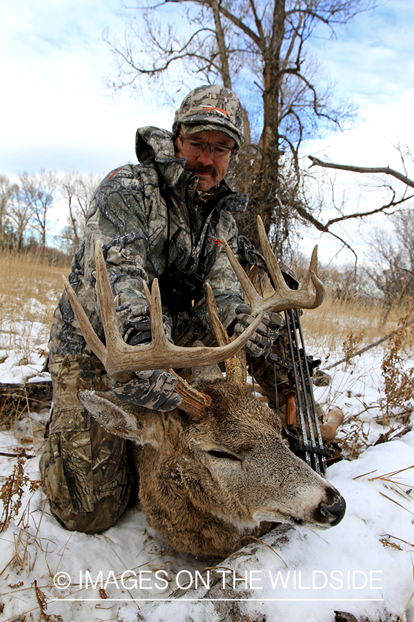Bowhunter with bagged white-tailed buck.