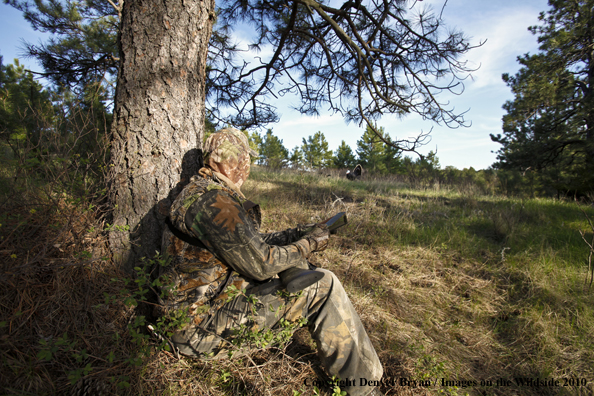 Hunter with (Merriam's) turkey in sights