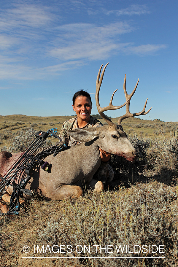 Woman hunter with bagged mule deer.