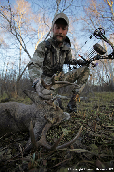 Bowhunter approaching whitetail buck.