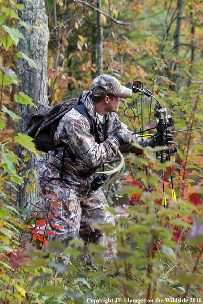 Bowhunter aiming bow through trees.  