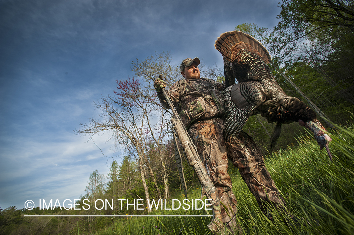 Turkey hunter with bagged turkey in field.