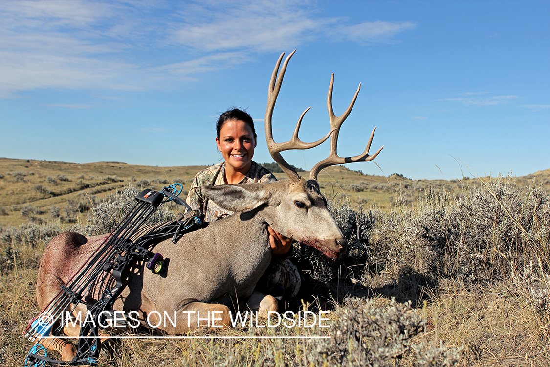 Woman hunter with bagged mule deer.