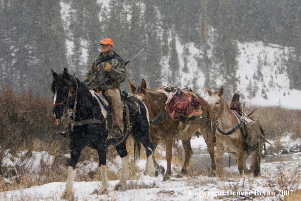 Elk hunt packstring in mountains