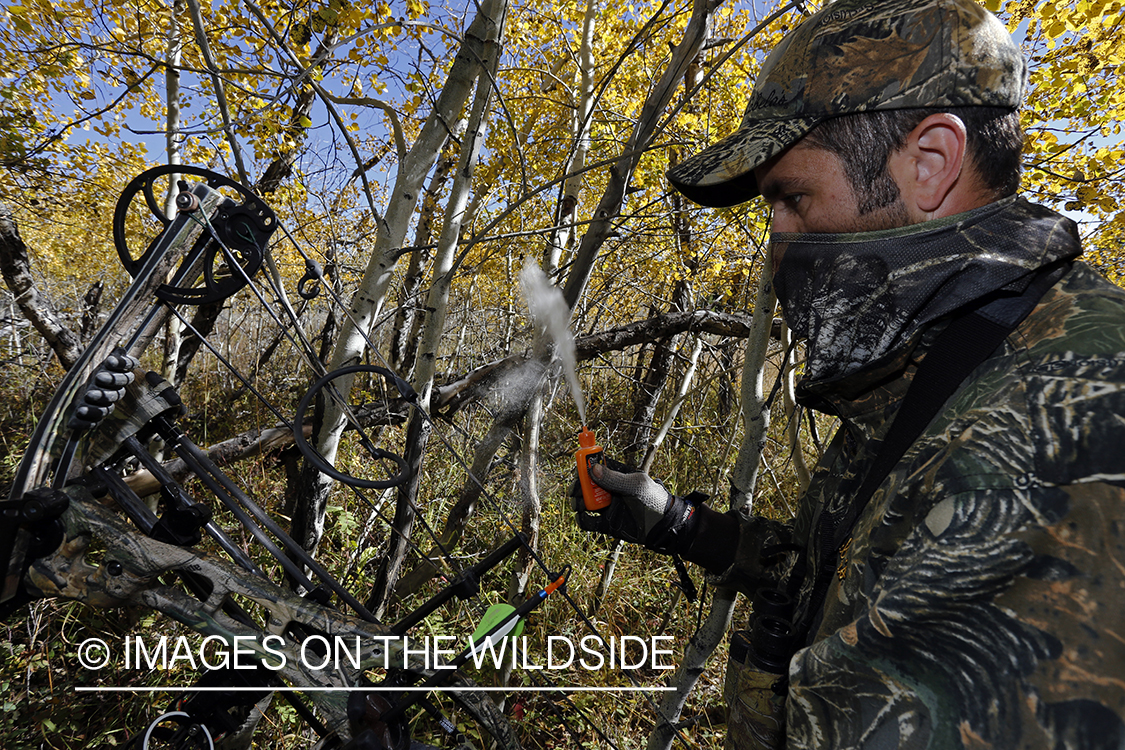 Bowhunter pursuing Rocky Mountain Elk.