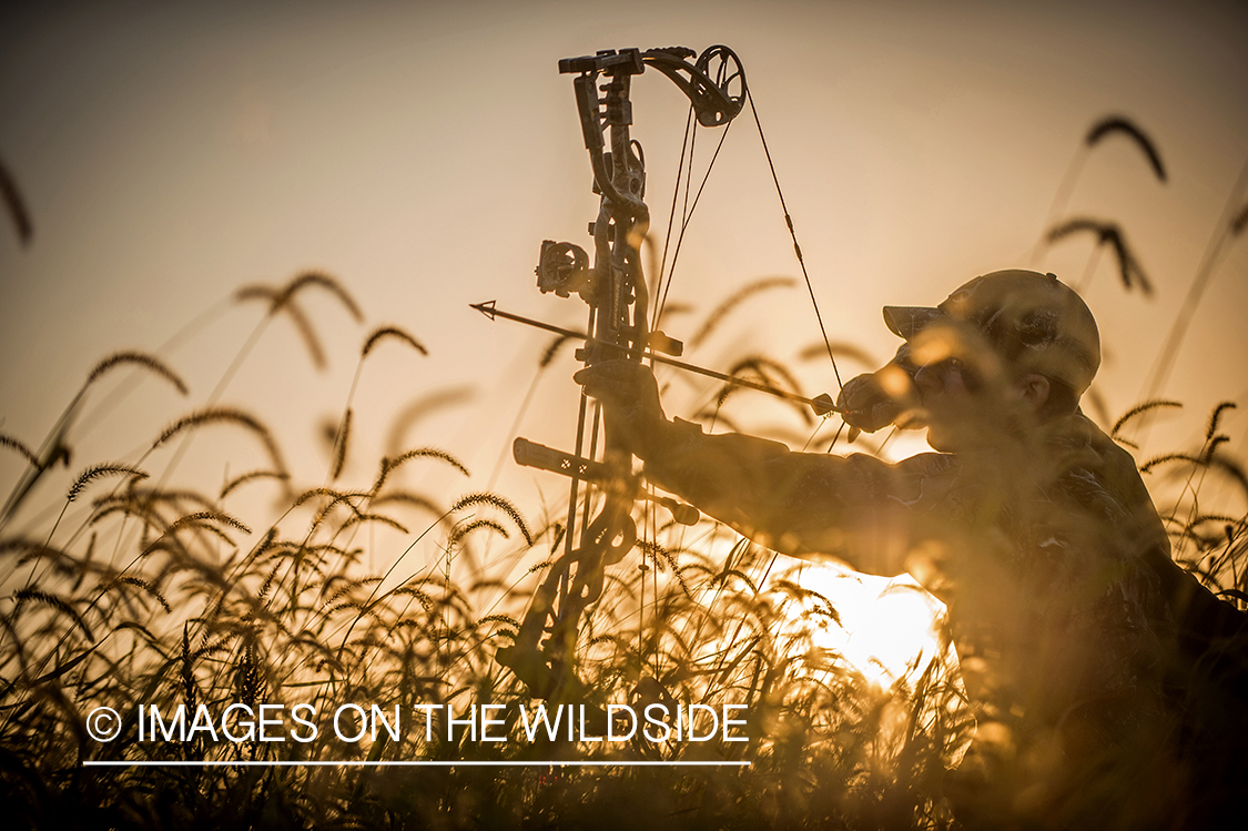 Bow hunter in field aiming at game.