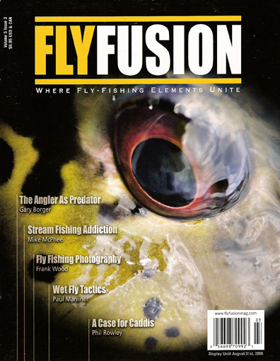 FlyFusion Spring 2008